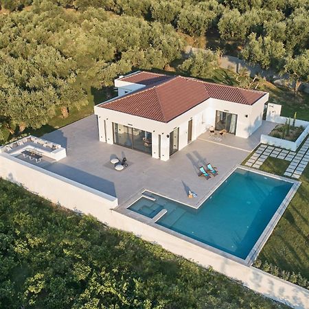 Drallos Luxury Villa Аликанас Экстерьер фото
